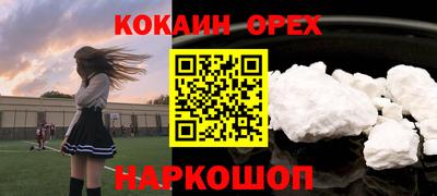 крисы Кулебаки