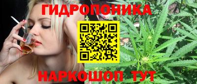мет Будённовск