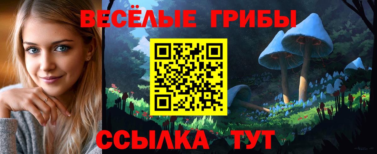 Галлюциногенные грибы ЛСД  Вход с VPN  Люберцы  Псилоцибиновые грибы ЛСД 